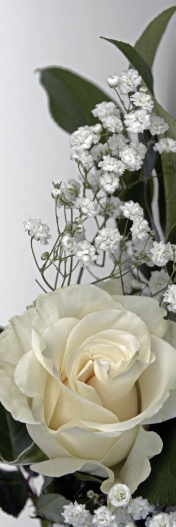 white rose-flowers-wedding-vertical